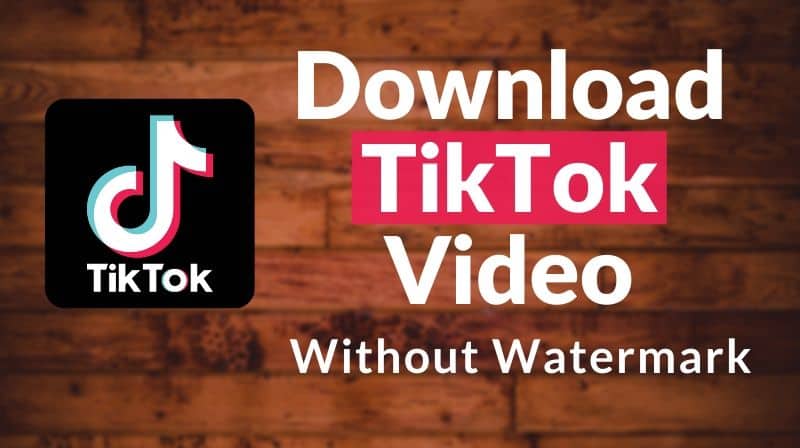 How to Download TikTok Video without Watermark [FREE]