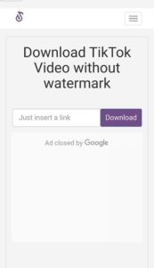 TikTok Video Download without Watermark Online for Free
