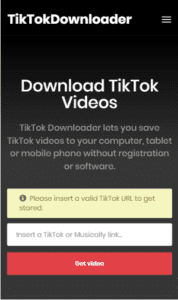 4. Download TikTok Video Online without Watermark
