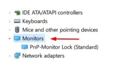 PnP-Monitor Lock option in window10