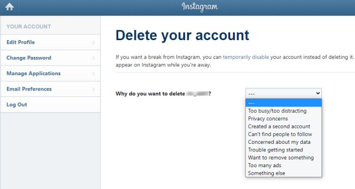 the delete your Instagram account page