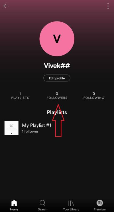 who are following you on Spotify