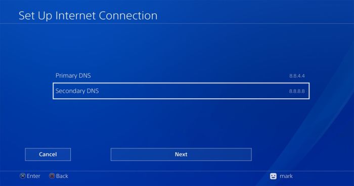 PS4 network settings