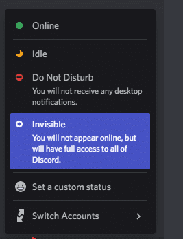 What does INVISIBLE mean on Discord